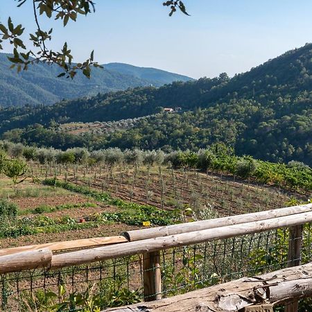 Poggio Al Mandorlo Villa Greve in Chianti Luaran gambar