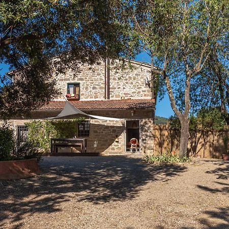 Poggio Al Mandorlo Villa Greve in Chianti Luaran gambar