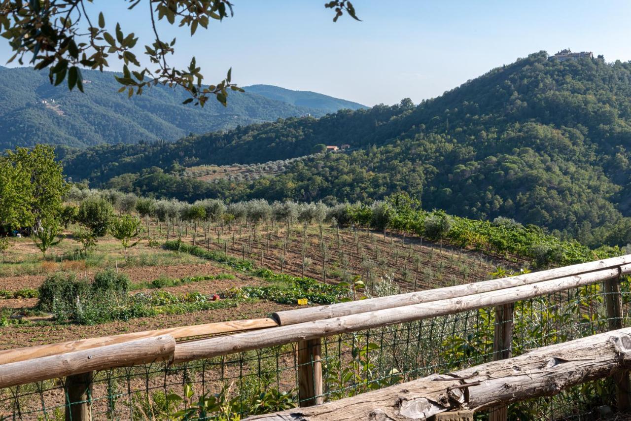Poggio Al Mandorlo Villa Greve in Chianti Luaran gambar